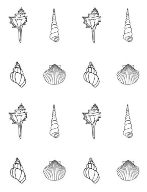 Deniz kabukları ve plaj elementleri. vektör illüstrasyonu