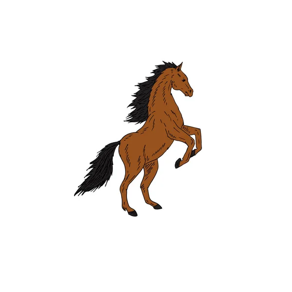 Silueta Caballo Aislada Sobre Fondo Blanco — Vector de stock