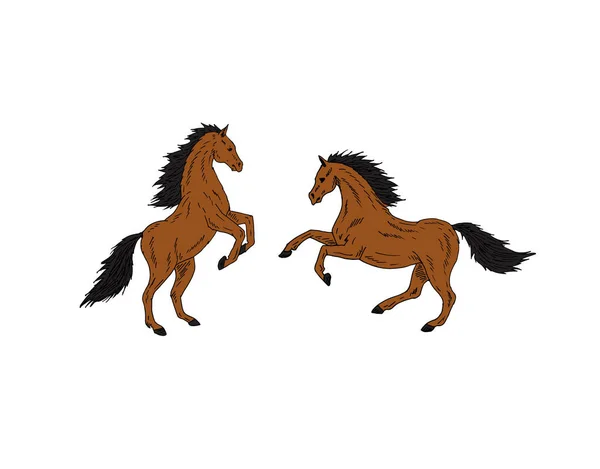 Vector de dos caballos dibujados a mano garabato de color marrón — Archivo Imágenes Vectoriales