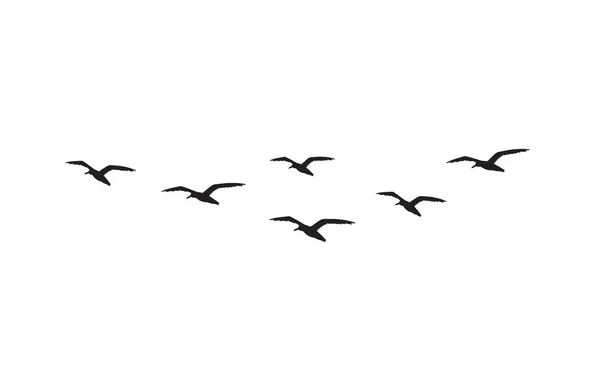 Векторна Ілюстрація Зграї Птахів — стоковий вектор