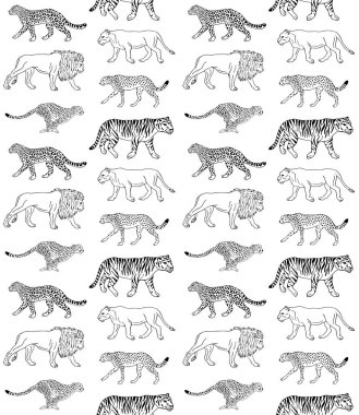 vektör çizilmiş hayvanlar kümesi Vahşi kediler