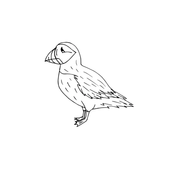 Ikona Ptačího Vektoru — Stockový vektor