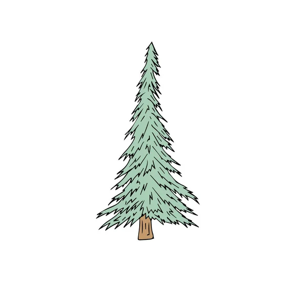 Vector Illustration Fir Tree Icon — Stock Vector