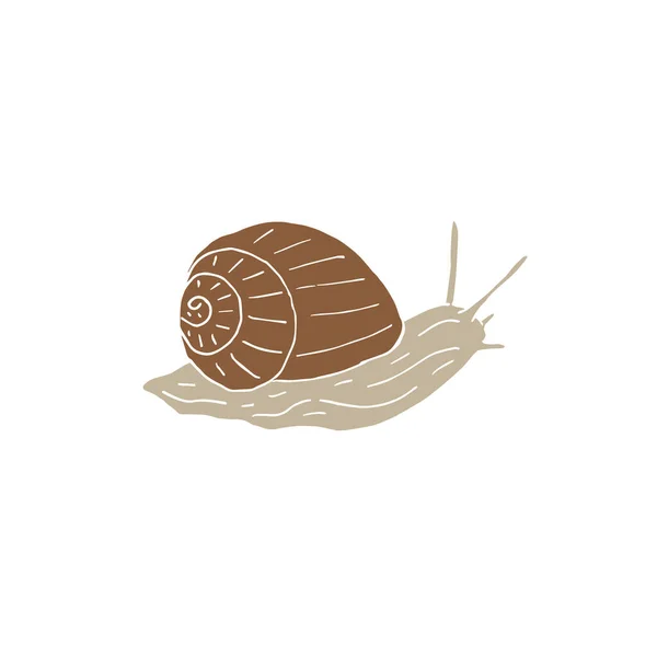 Vector Illustration Snail — Stock Vector