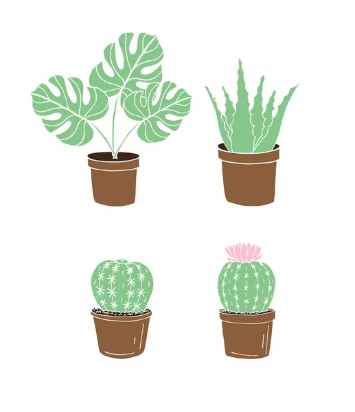 Conjunto Vectores Color Dibujado Mano Doodle Sketch Monstera Planta Cactus — Archivo Imágenes Vectoriales