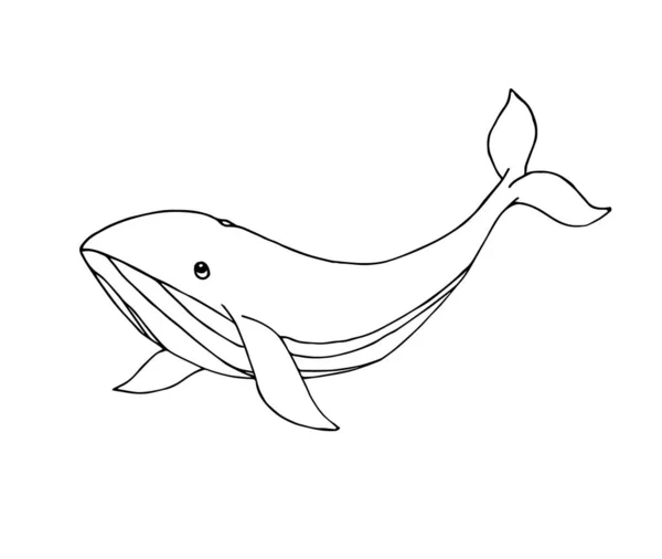 クジラのアイコンベクトルイラスト — ストックベクタ