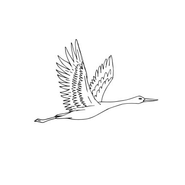 Vektör el çizimi çizimi. Uçan vinç kuşu beyaz arka planda izole edilmiş.