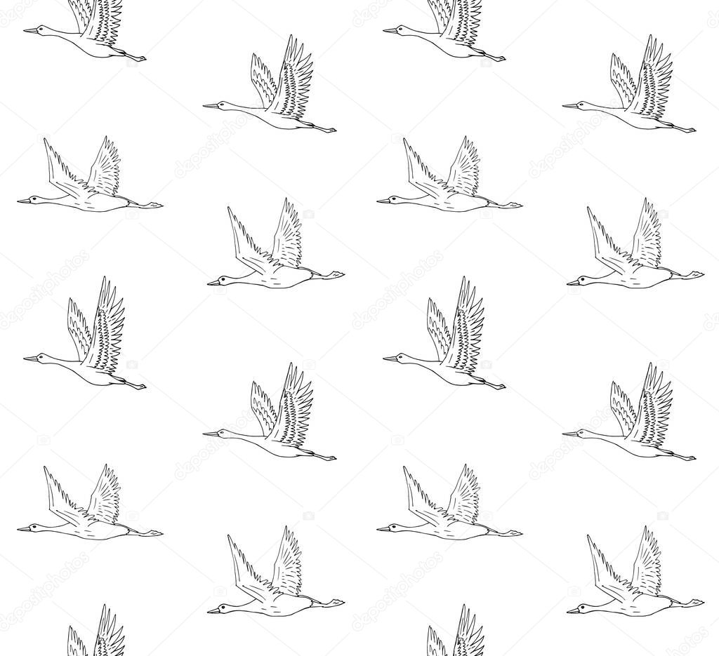 Vector seamless pattern of hand drawn doodle sketch flying crane bird isolated on white background