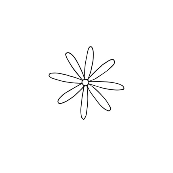 Vector Dibujado Mano Doodle Bosquejo Flor Aislada Sobre Fondo Blanco — Vector de stock