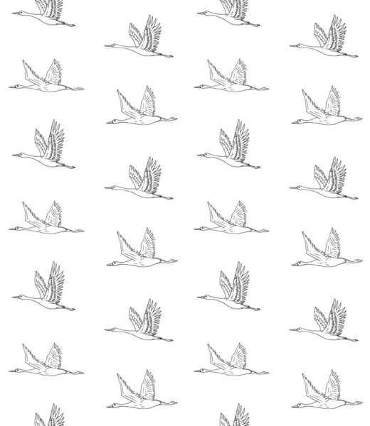 Vektor Nahtlose Muster Von Hand Gezeichnet Doodle Skizze Fliegender Kranich — Stockvektor