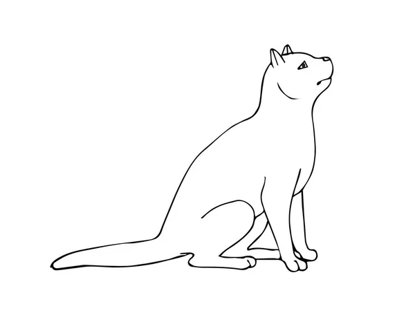 Vektor Gambar Tangan Sketsa Duduk Kucing Terisolasi Pada Latar Belakang - Stok Vektor