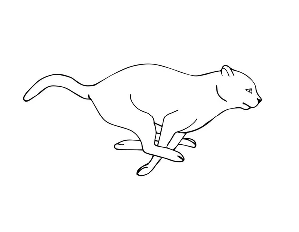 Vektor Gambar Tangan Sketsa Berjalan Kucing Terisolasi Pada Latar Belakang - Stok Vektor