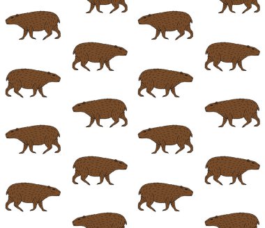 capybaras pürüzsüz desen vektör çizimi 