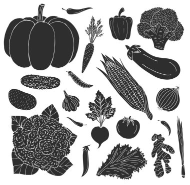 Vektör el çizimi eskiz çizimi. Beyaz arka planda izole edilmiş siyah sebze demeti.