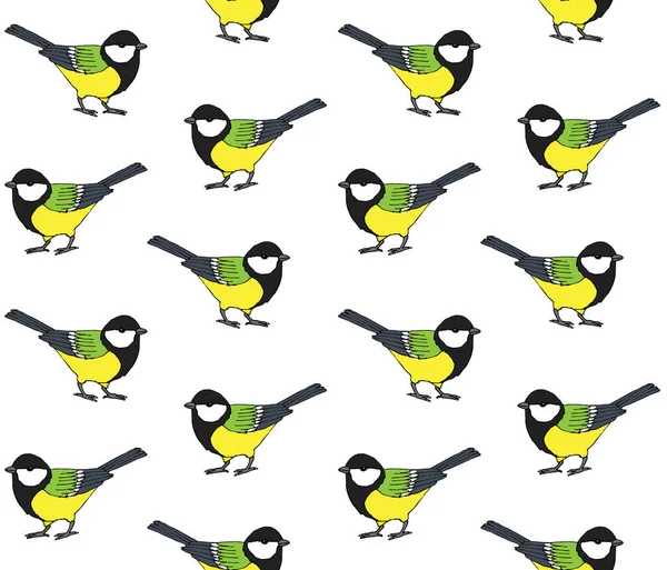 Vector Seamless Pattern Hand Drawn Colored Tit Bird Isolated White — Stock Vector