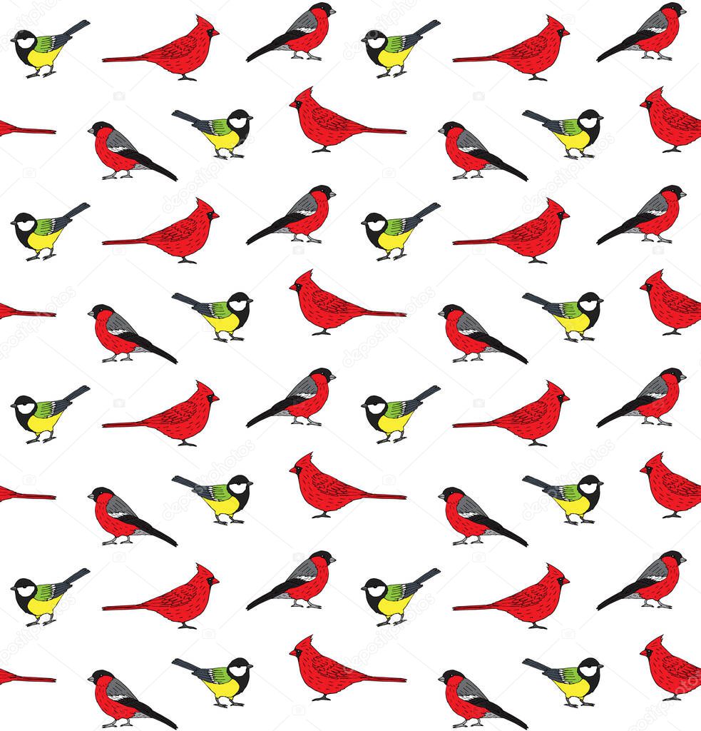Vector seamless pattern of hand drawn doodle sketch little birds isolated on white background