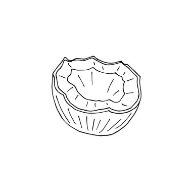 Vektör el karalama çizimi beyaz arkaplanda yarım kesilmiş hindistan cevizi izole