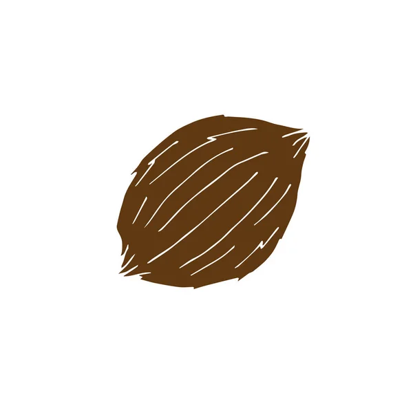 Vektor handritad doodle skiss brun kokos — Stock vektor