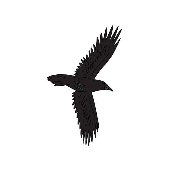 Vecteur dessiné à la main doodle couleur corbeau volant — Image vectorielle