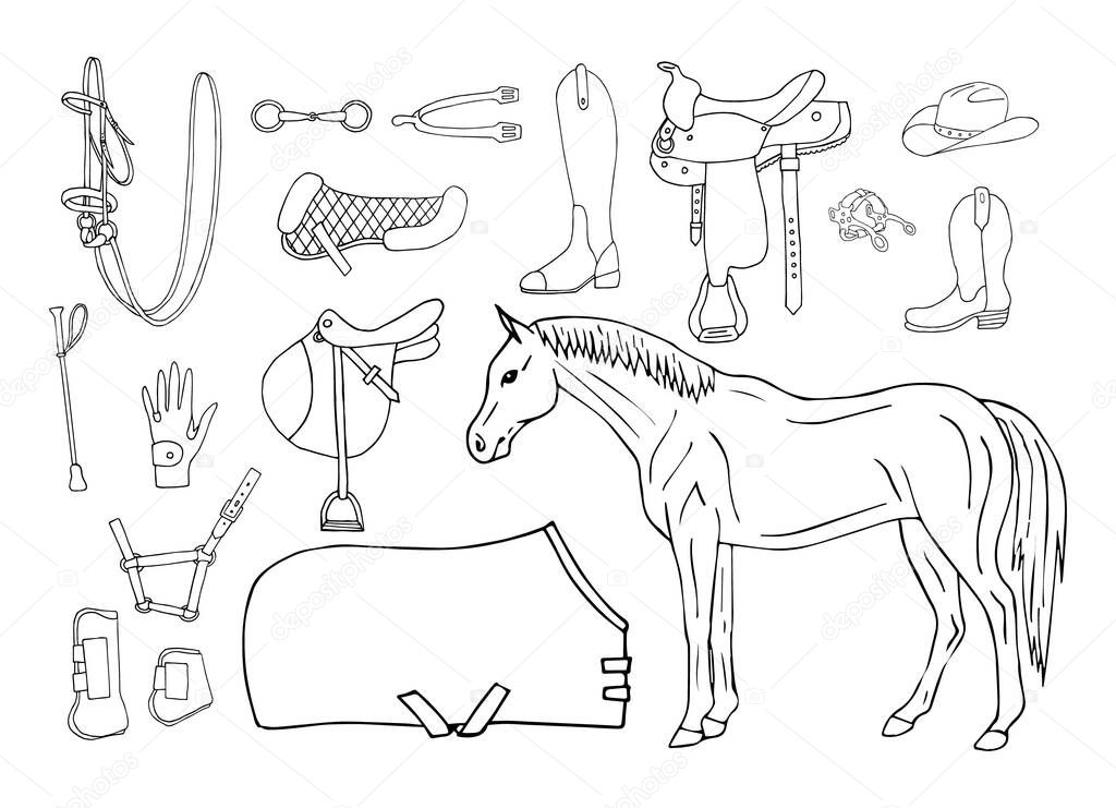 Vector set bundle of hand drawn doodle sketch horse riding equestrian equipment isolated on white background
