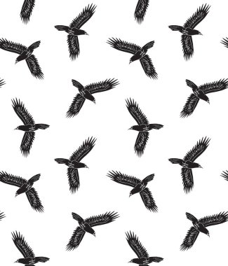 Beyaz arkaplanda izole edilmiş uçan kuzgun çiziminin kusursuz çizimi.