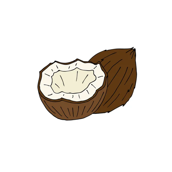 白い背景に隔離されたベクトル手描きのドアスケッチ色のココナッツ — ストックベクタ