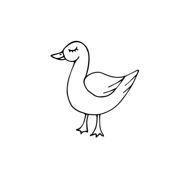 Croquis vectoriel dessiné à la main canard — Image vectorielle