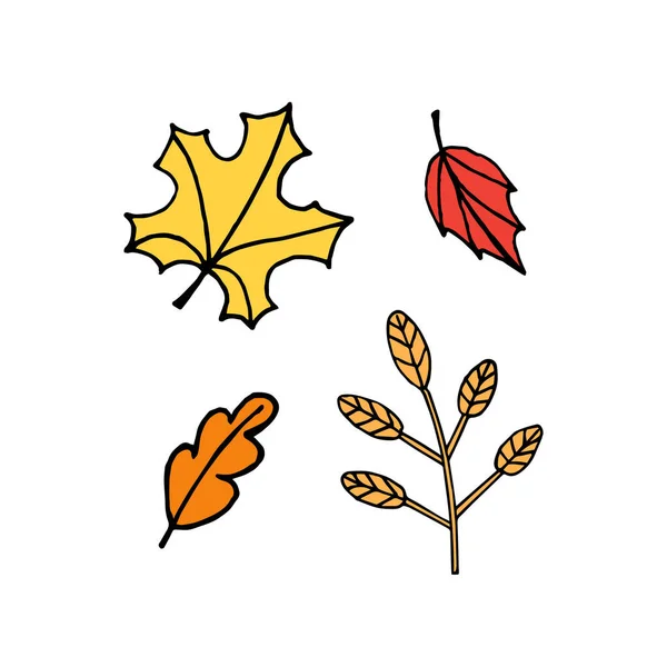 Ensemble vectoriel de feuilles d'automne dessinées à la main — Image vectorielle