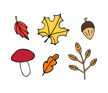 Renkli el çizimi vektör demeti beyaz arka planda izole edilmiş sonbahar yaprakları palamut ve mantar çizimi