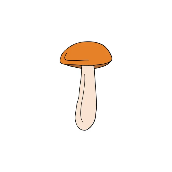 Bozzetto Scarabocchio Disegnato Mano Vettoriale Colorato Boletus Tazza Arancione Isolato — Vettoriale Stock