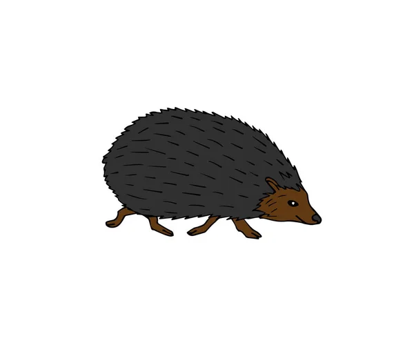 Vector Cartoon Image Cute Hedgehog — Stock Vector