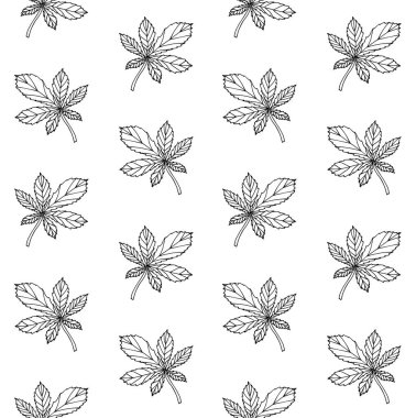 El çiziminin vektörsüz deseni beyaz arkaplanda izole edilmiş kestane yaprağı çizimi