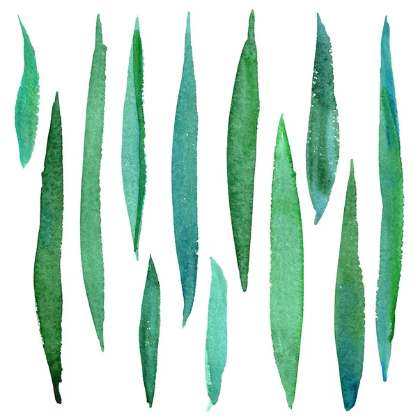 Akwarela Ręcznie Malowane Zielona Trawa Elementy Konstrukcji — Zdjęcie stockowe