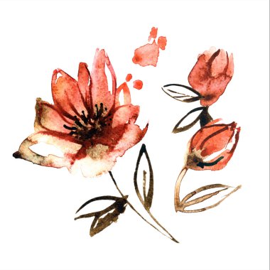 Şirin suluboya el portakal çiçekleri boyalı. Davet. Düğün kartı. Doğum günü kartı