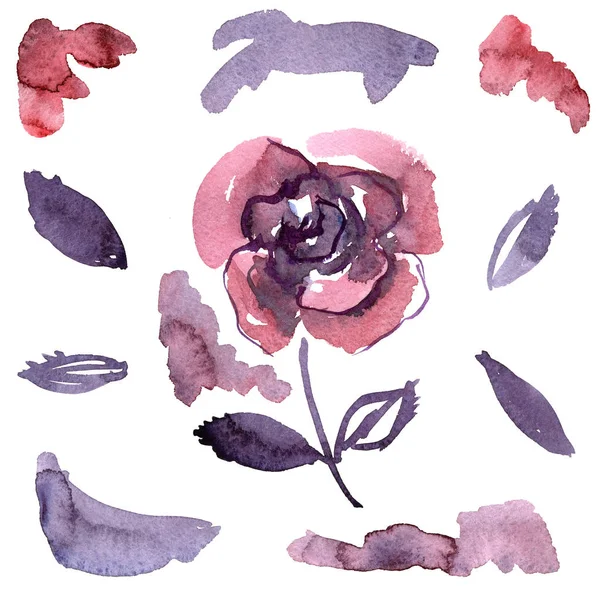 Aquarelle peinte à la main roses violettes. Eléments pour la conception d'invitations, cartes de mariage, cartes d'anniversaire — Photo