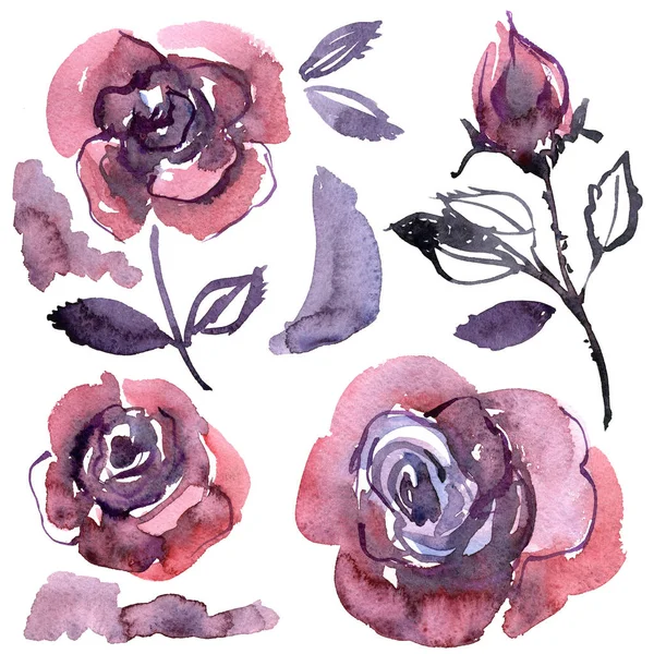 Akvarelu ručně malované fialové růže. Prvky pro návrh pozvánky, svatební oznámení, přání k narozeninám — Stock fotografie