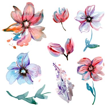 suluboya el boyalı davetiye, düğün kartı, Doğum günü kartı için çiçek öğeleri