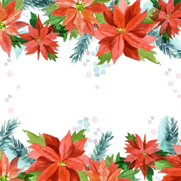 Watercolor Christmas Background Poinsettia Flowers — Stock Photo, Image