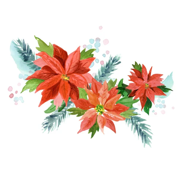 Aquarel Kerstmis Achtergrond Met Poinsettia Bloemen — Stockfoto