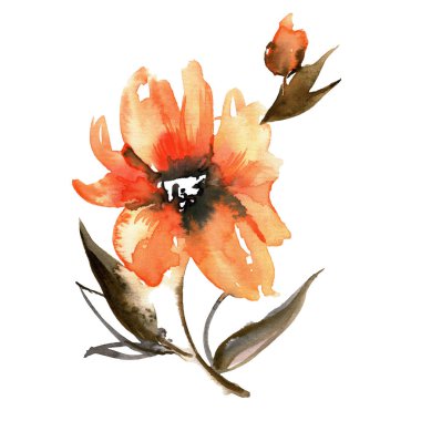 Şirin suluboya el portakal çiçeği boyalı. Davet. Düğün kartı. Doğum günü kartı