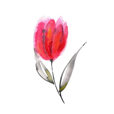 Şirin suluboya el pembe çiçek boyalı. Davet. Düğün kartı. Doğum günü kartı