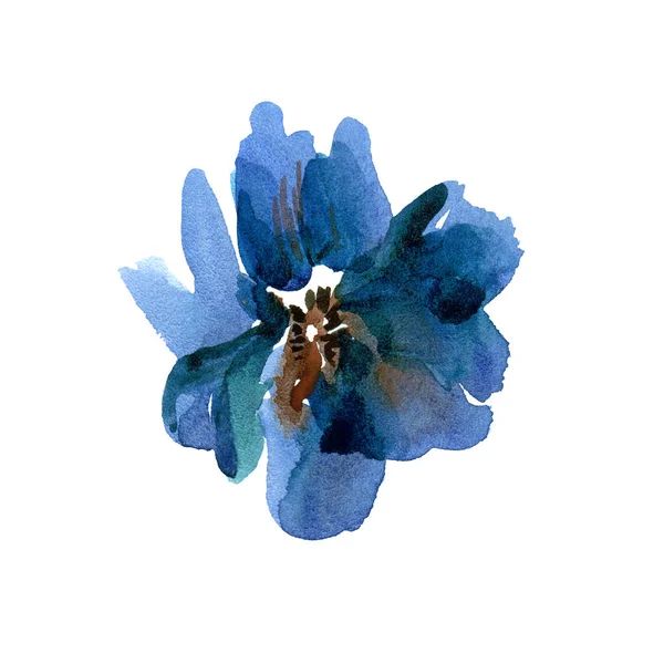 水彩の手描きの白地に青い花 — ストック写真