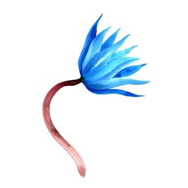 Suluboya el soyut mavi çiçek boyalı. Çiçek öğe için davetiye, tebrik kartı tasarımı