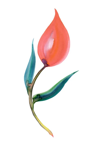 Acuarela flor de coral pintada a mano. El elemento floral para el diseño de la invitación, la tarjeta de felicitación — Foto de Stock