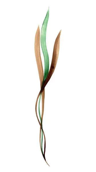 Aquarela pintados à mão ramos abstratos. Elemento floral para design de convite, cartão de saudação — Fotografia de Stock
