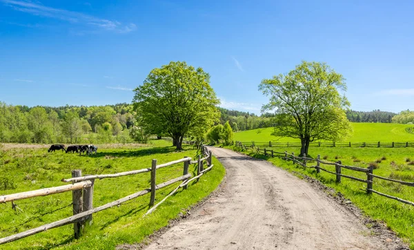 Paisagem Rural Com Estrada Rural Céu Azul — Fotografia de Stock