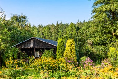 Tahta kulübede kırsal manzara orman evi çevresinde bahçede çiçek ile