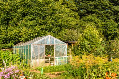 Sera, organik tarım kavramı ile Eko sebze bahçesi