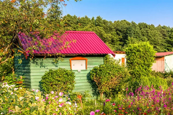 Sommarhus Trädgården Med Blommor Lantlig Stuga Landsbygden — Stockfoto