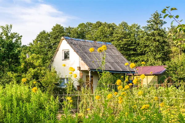 Rural house. Summer cottage with flowers in the garden, country landscape